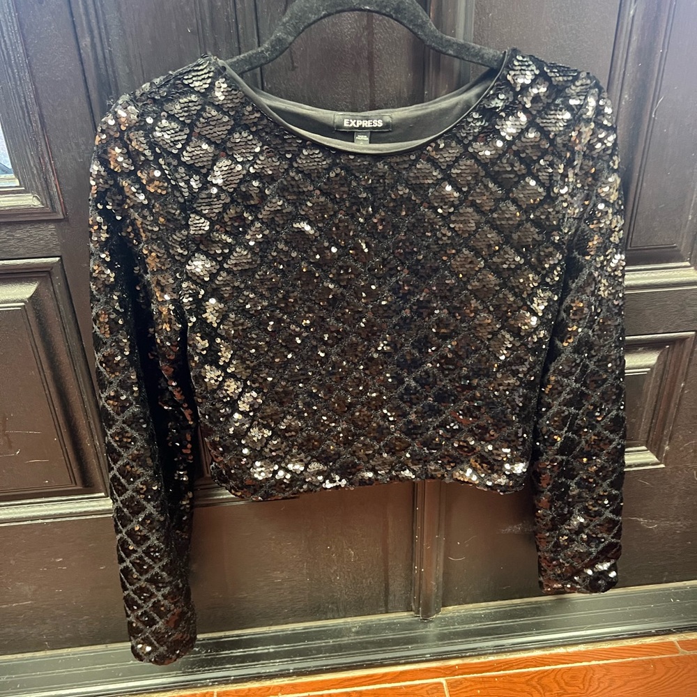 Express Sequin Crop Top Size S Long Sleeve Back Zip Diamond Pattern Top